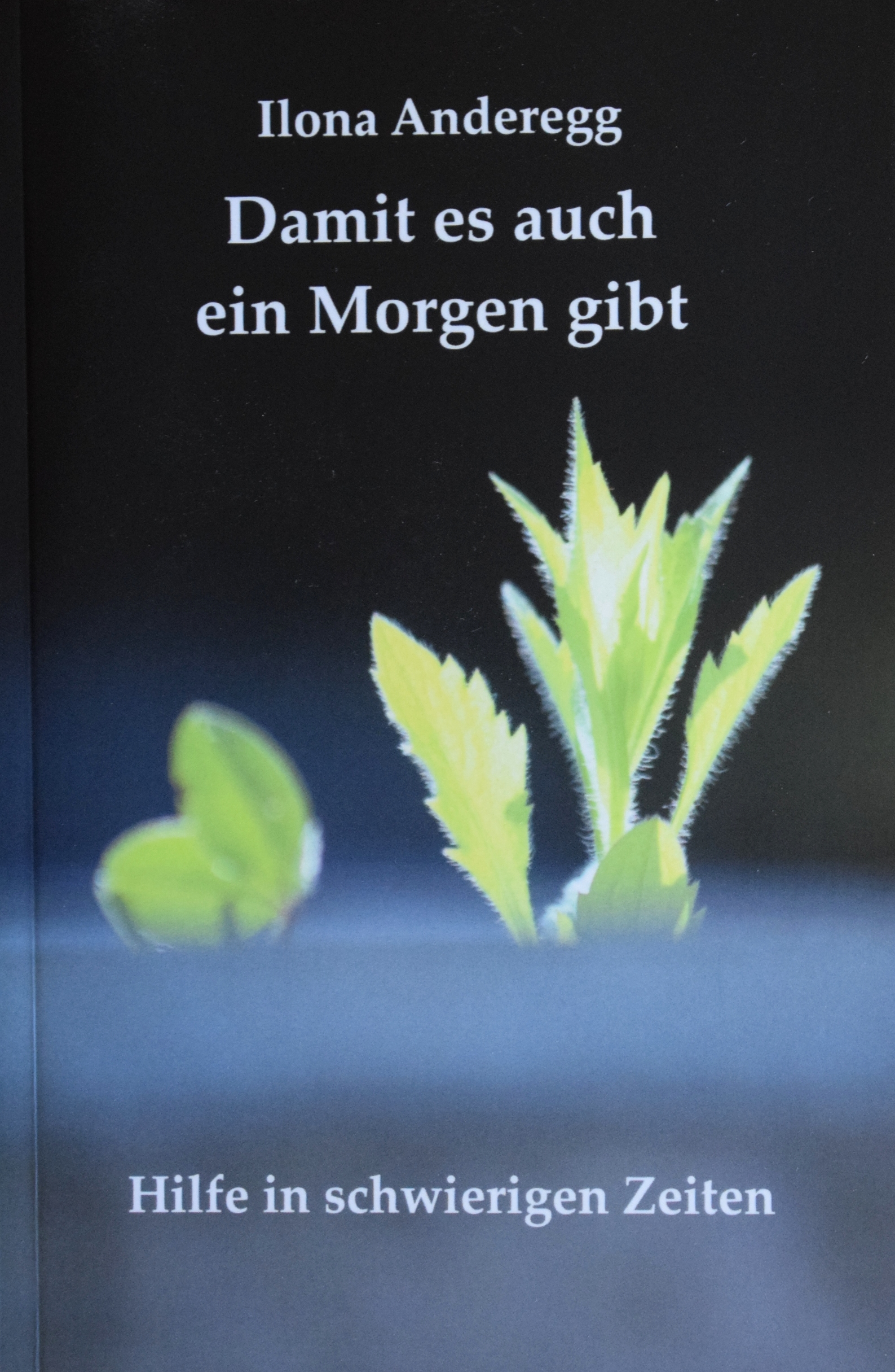 AndereggTitelHoch becrima