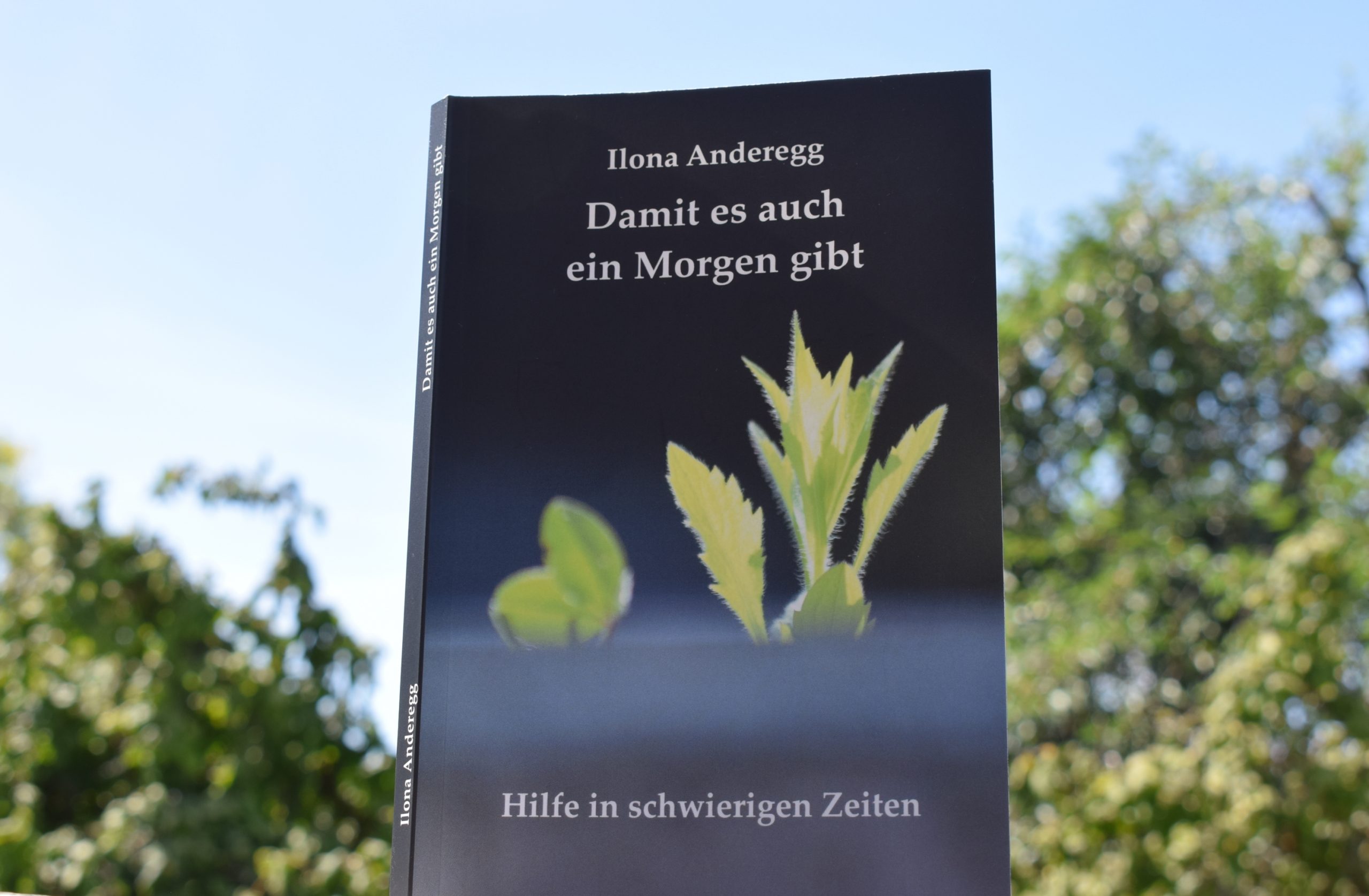 AndereggTitelMorgenQuer becrima 