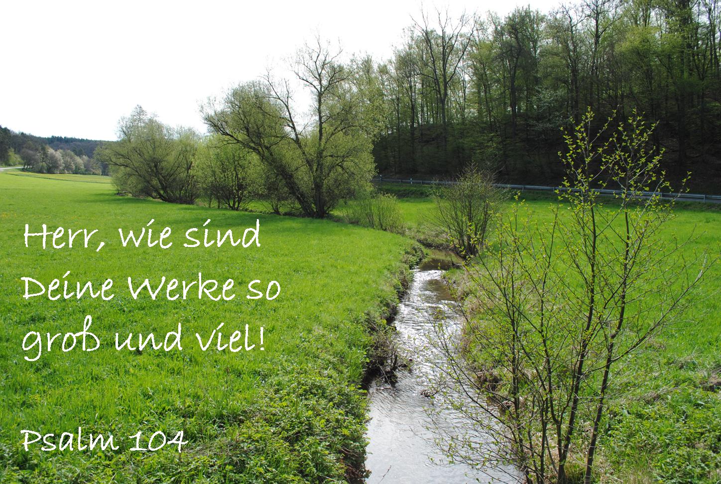 Psalm104DeineWerkeSoViel